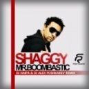 Shaggy - Mr. Boombastic