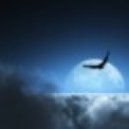 Elles De Graf - Tears From The Moon