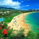 Picco vs. Fedde Le Grand - Put Your Hands Up For Hawaii (DJ Atem Mashup)
