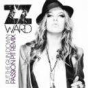 ZZ Ward - Put The Gun Down