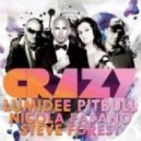 Lumidee Ft. Pitbull vs Nicola Fasano & Steve Forest - Crazy (Furkan Soysal Mix 2013)