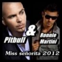 Pitbull, Ronnie Martin vs. Dj Johnny Clash & DJ V.Terkin - Miss Senorita (Dj Faller Mashup)