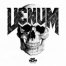 DJ Venum - Piano Party ()