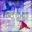 Somebody I Used To P.L.U.R - Sesto Sento Mashup