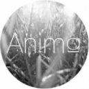 Anima - Another Valley