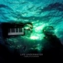 Laurelle & Alexander - Lost Stardust