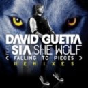 Ne-Yo vs. David Guetta ft.Sia - Let\'s Go, Falling To Pieces (DJ Evgeniy Nilov Extended Mashup)