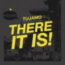 Tujamo vs. Cerla ft. QiDD - There it is Girl