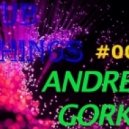 Dj Andrey Gorkin - Club Things #004 ()