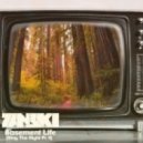 Zanski - Basement Life