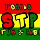 Collie Buddz - Too Watchy (STP Remix)