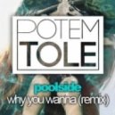 Poolside - Why You Wanna (PotemTole Remix)