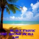 Slava Exotic - The Sound In Da Air ()