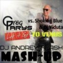 Greg Parys vs. Shoking Blue & Dj Viduta - Let It Go To Venus (Dj Andrey Flash Mash-Up)