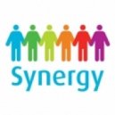 Dj Serge Serafim - Synergy Vol. 1 ()