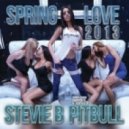 Stevie B feat. Pitbull - Spring Love 2013 (Extended Mix)