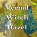 El gato #9 - Vernal Witch Hazel