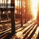 AB&SO - Miracle