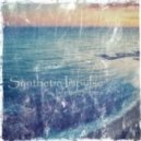 Synthetic Impulse - Infinite Shores