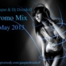 Dj Gaspar & Dj Drozdoff - Promo mix (may 2013)