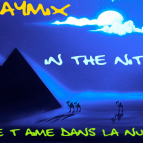raymix - In the nite (je t\'aime dans la nuit)