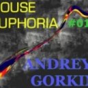 Dj Andrey Gorkin - House Euphoria #013