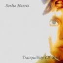 Sasha Harris - Tranquillity Of Soul