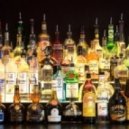 Panda At The Rockket - Alcoholic ()