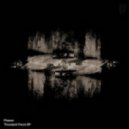 Phases - Constant Changes