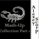Havana Brown Feat Lunde Bros. - We Run The Night (Alexey Scorp Mash-Up)