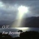 Optimum Vulnerability - Far Beyond