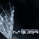 Sasha - Cut Me Down (Slighter\'s Break Me Down Remix)