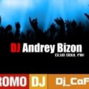DJ Andrey Bizon - Club Soul ()