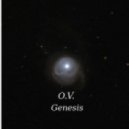 Optimum Vulnerability - Genesis