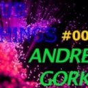 Dj Andrey Gorkin - Club Things #005 ()