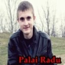 Palai Radu - Summer 2013