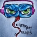 Cerebrum Sounds - Autumn Eyes & Butterflies