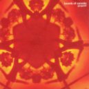 Boards of Canada - Roygbiv (Tortilla Pass Remix)
