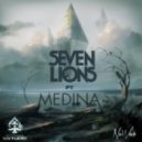 Medina ft. Seven Lions - 12 Days to come