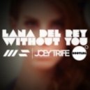 Lana Del Rey - Without You (WAV35HAPERS & Joey Trife Bootleg)