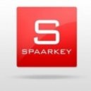 Spaarkey - Success