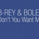 B-Rey - Don\'t You Want Me 2013 (DJ LoKKo Remix)