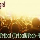 DJ Geegel - This is a Tribal