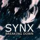 Synx - Breaking Down