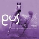 Gus Gus - Arabian Horse