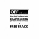 Echo And The Bunnyman - Killing Moon