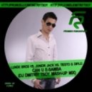 Lunde Bros vs. Junior Jack vs. Tiesto & Diplo - Can U E-Samba (Dj Dmitriy Tsoy Mash-Up Mix)