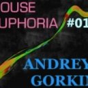Dj Andrey Gorkin - House Euphoria #014