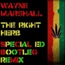 Wayne Marshall - The Right Herb (Special Ed D&B Bootleg)