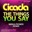 Cicada - The Things You Say